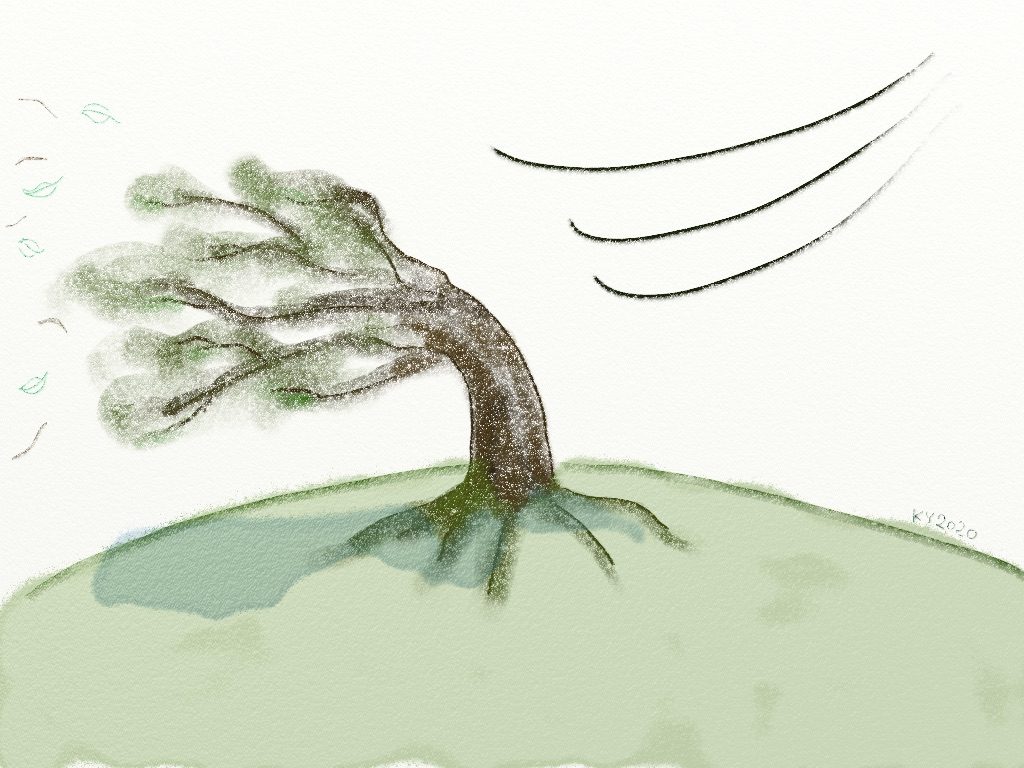 tree01
