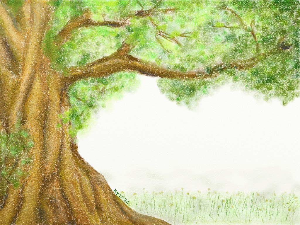 tree04