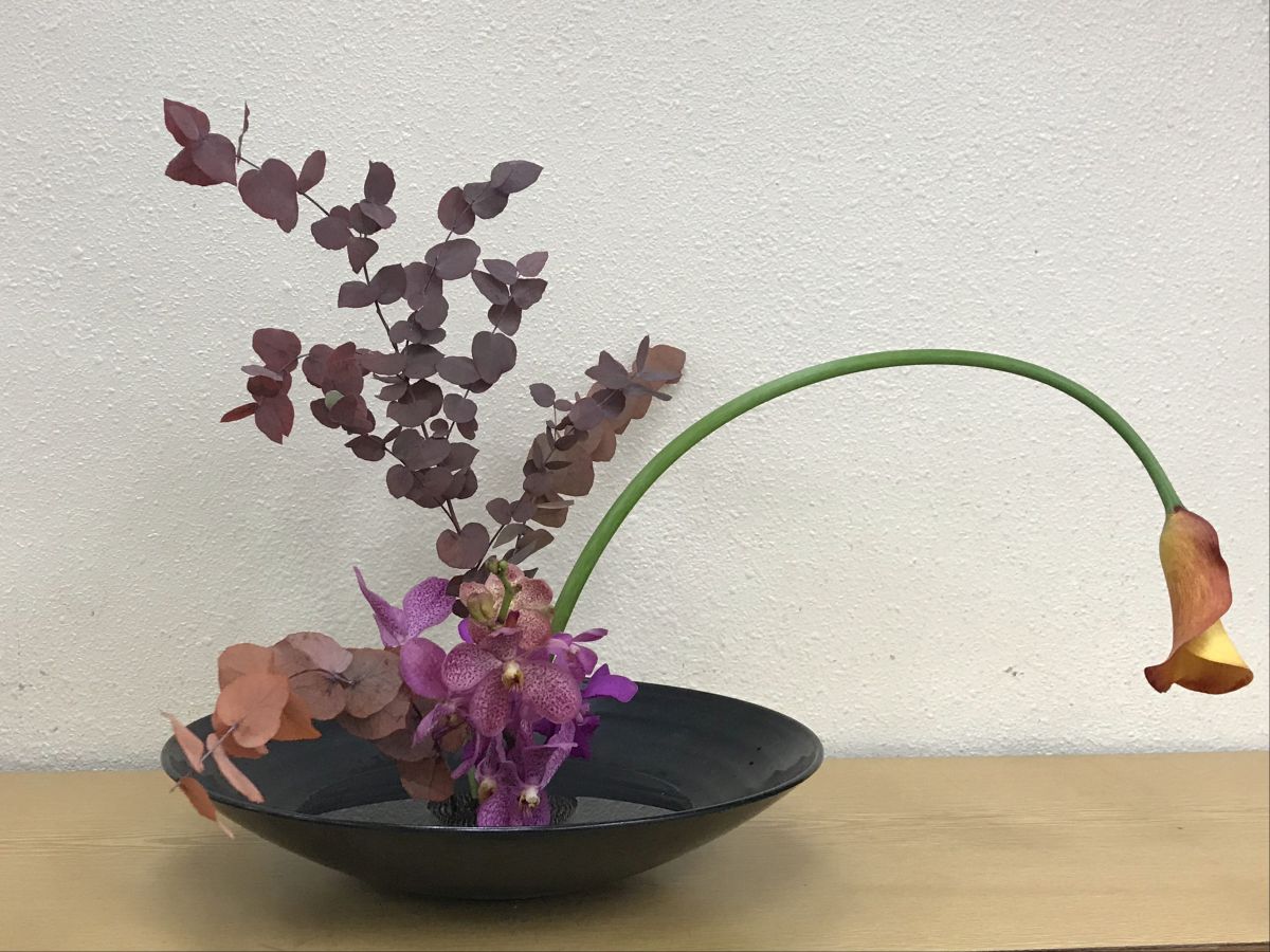 黎博士的花道作品