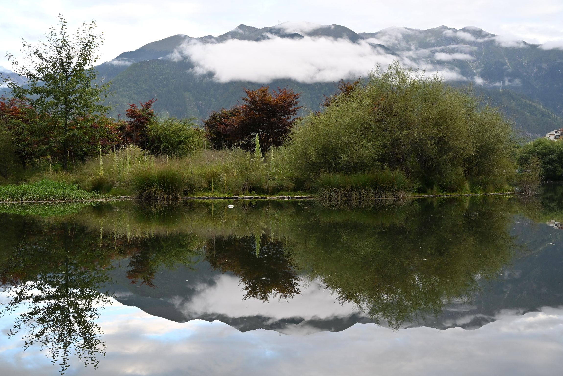 湖鏡映照萬物,倒影無非夢幻,而萬物亦有成住壞空。