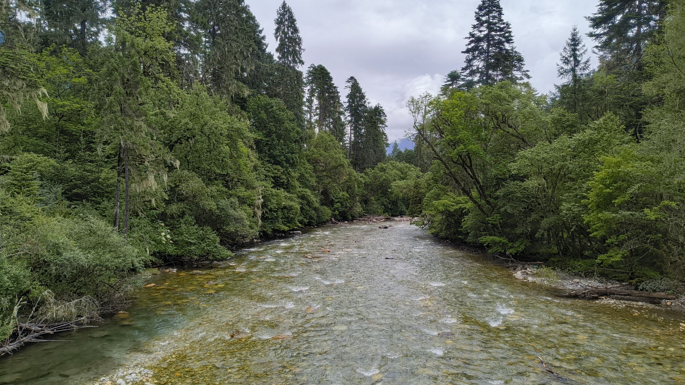 進藥王谷的第三條路,沿途風景心曠神怡。