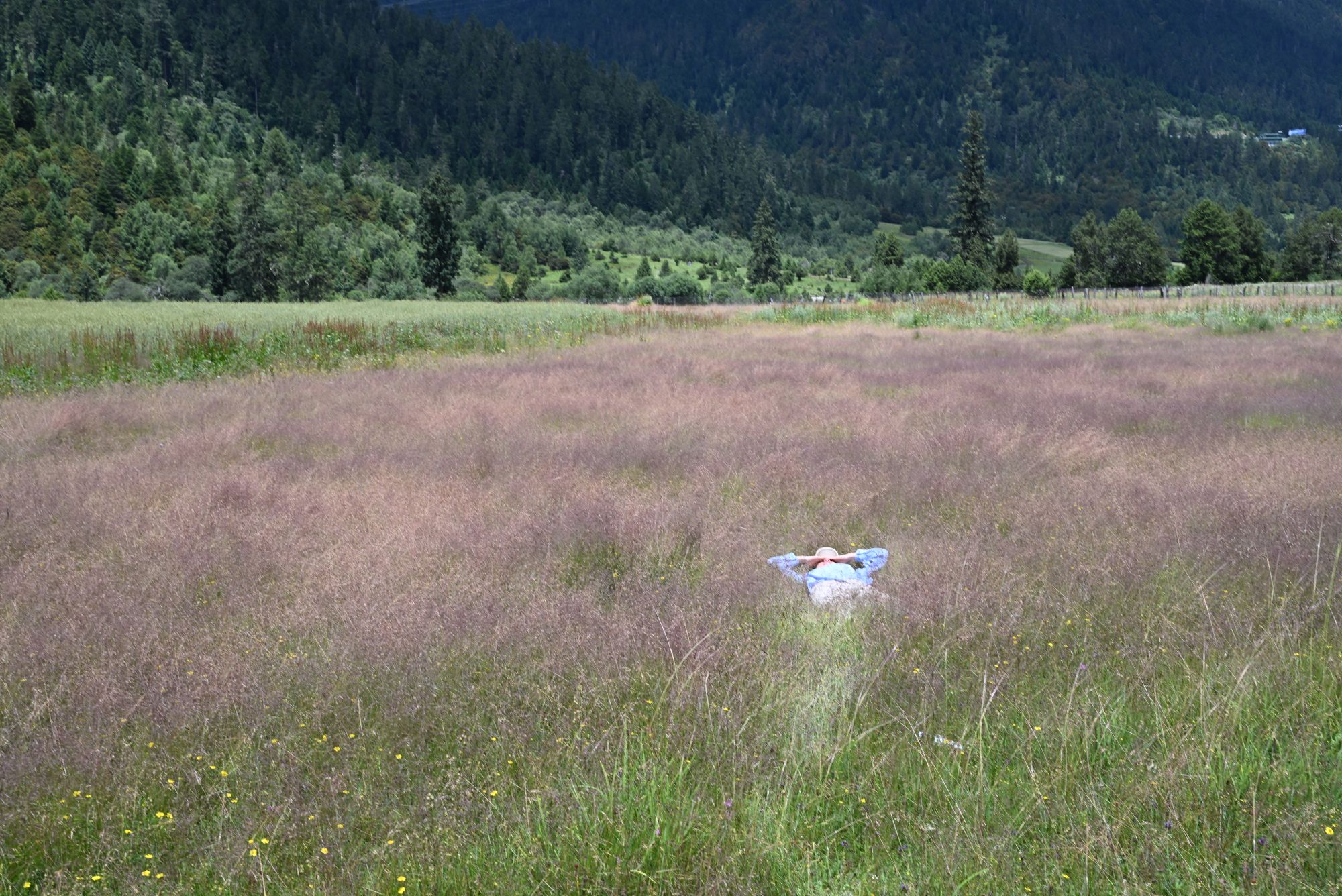 年輕團友興致勃勃,躺在田野上打卡。