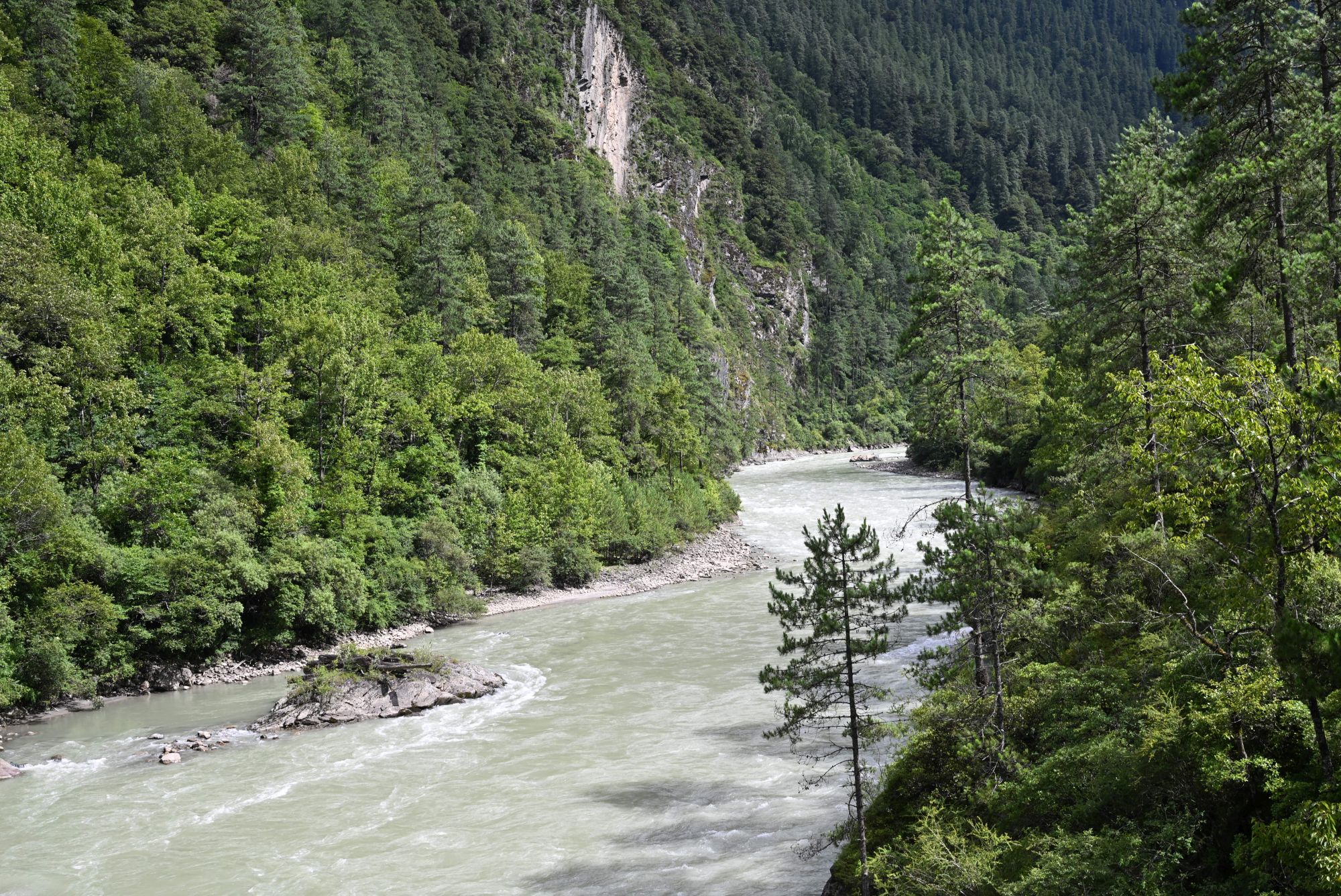 在拉月藤網吊橋上觀賞的河岸,是一片與世無爭的風光。