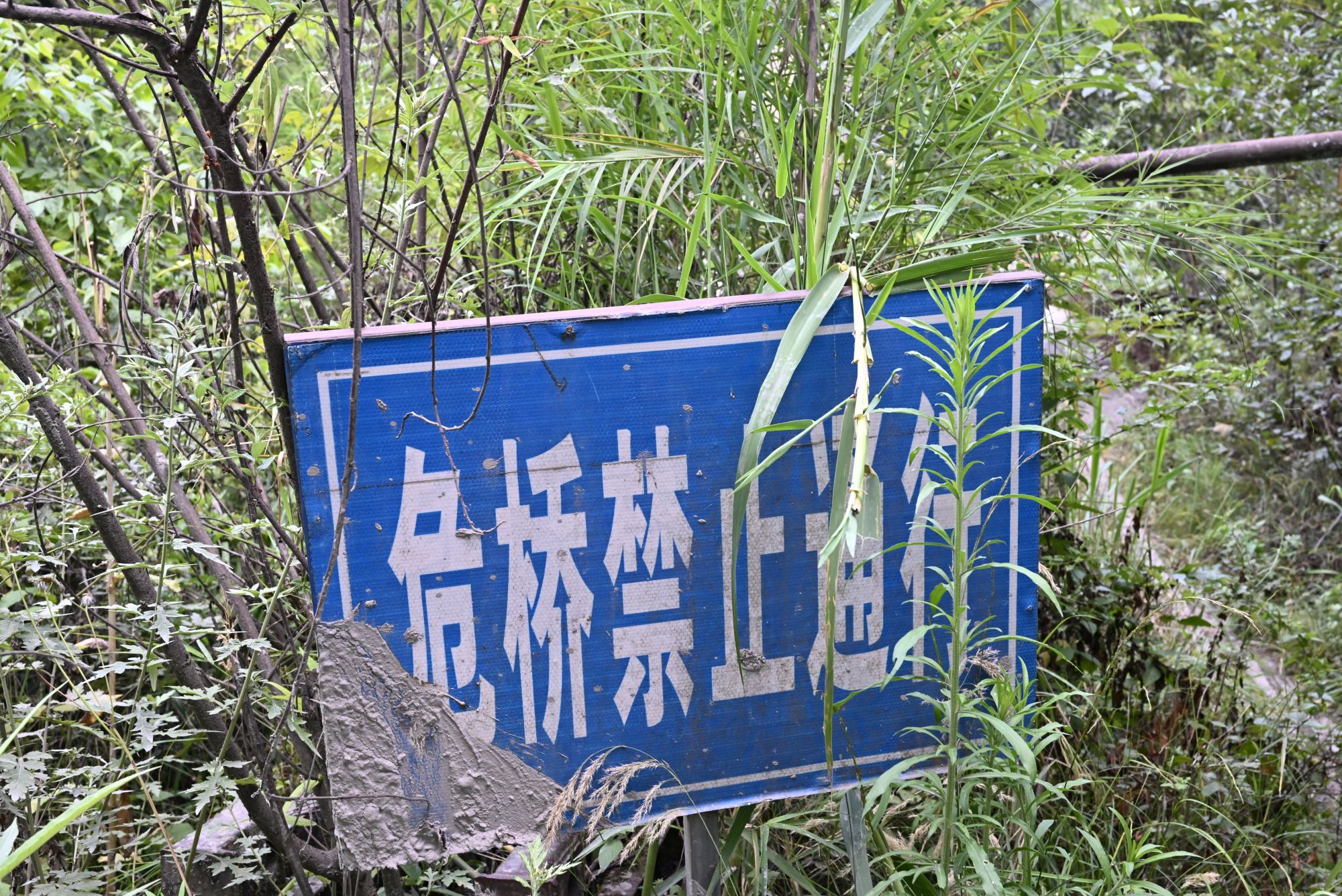 離開時我們才看見「危橋禁止通行」的路牌