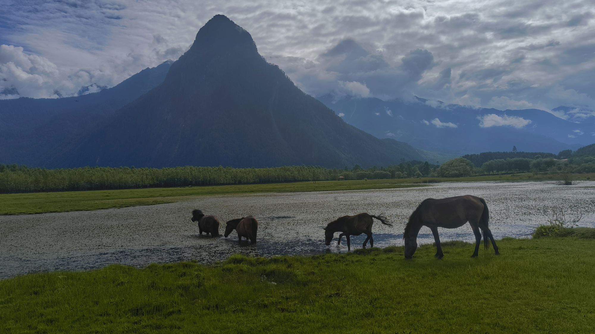 離開民宿，我們來到一處河岸，幾匹馬一看見我們就涉水過河離開，似乎不太歡迎我們。