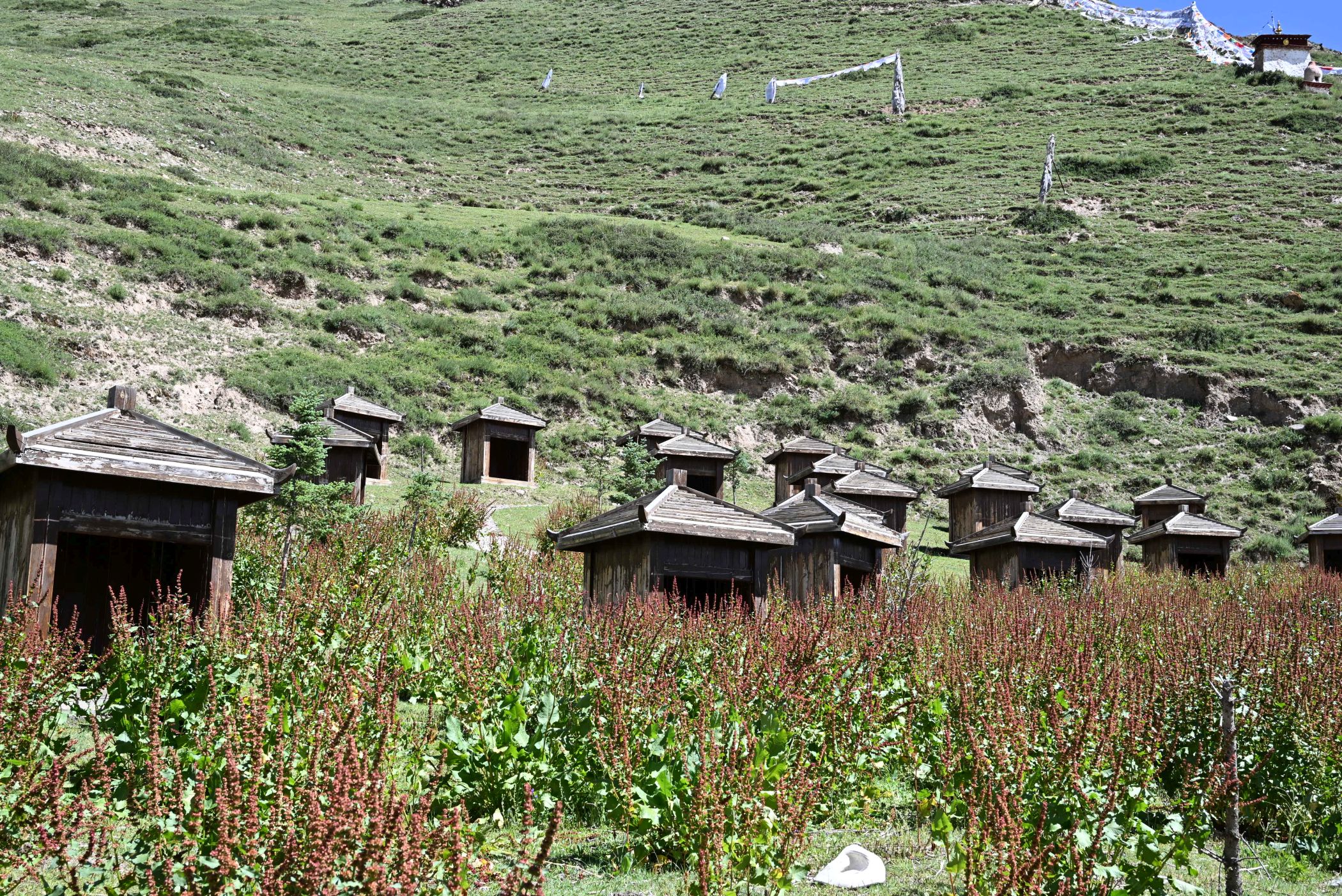 比如骷髏牆景區有多個修行體驗小屋,Ken sir請大家一人佔一間,禪修一會兒。