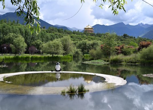 在世界屋脊修習正念（一）