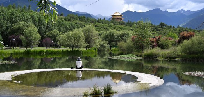 在世界屋脊修習正念(一)