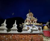 在世界屋脊修習正念（六）