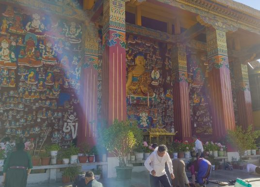 在世界屋脊修習正念（九）