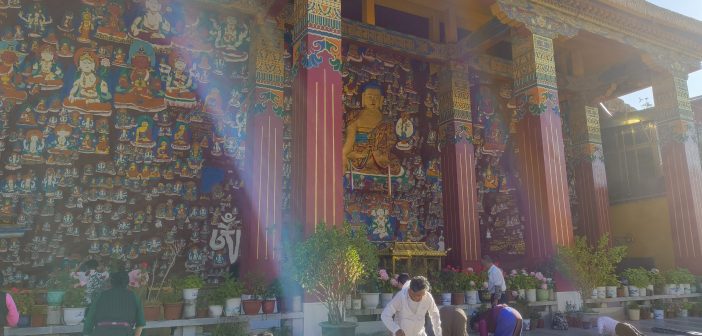 在世界屋脊修習正念（九）